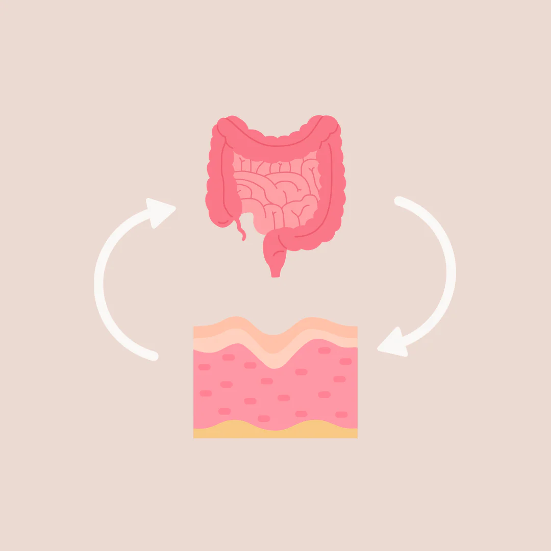 gut skin connection